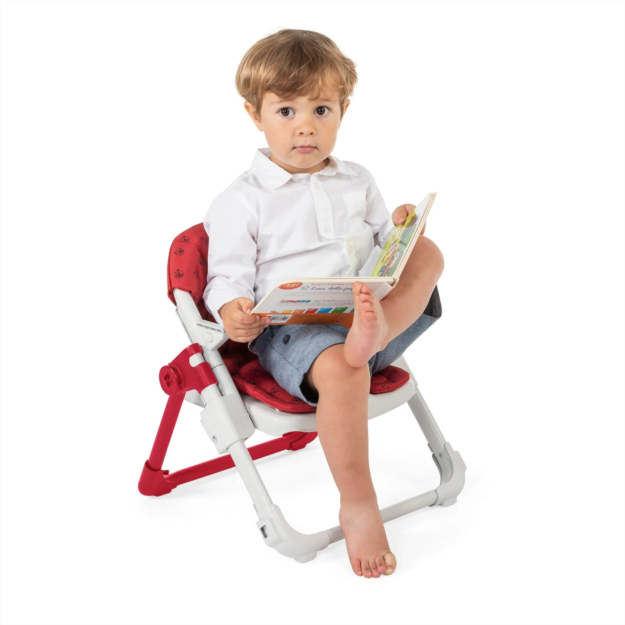 Chicco Alzasedia Chairy - Image 10